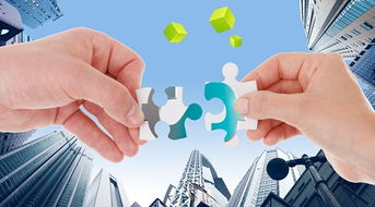 帝納國(guó)際與一冶集團(tuán)達(dá)成戰(zhàn)略合作協(xié)議 開(kāi)啟2018電子商務(wù)全新征程