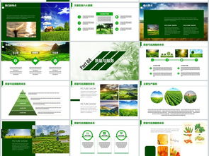 2018互聯(lián)網(wǎng)農(nóng)業(yè)農(nóng)副產(chǎn)品創(chuàng)業(yè)融資生態(tài)圈商業(yè)計劃書模板